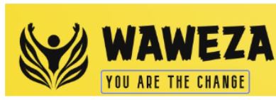 WAWEZA LOGO2